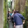 Ciudad antigua de Hoi An: free tour