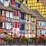 🏆 The most complete free tour in Colmar! 