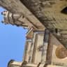 Visita guiada en la catedral de Tortosa