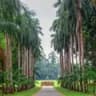 Botanical Garden and the Buddhist temple of Getambe