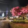 Free tour nocturno fotos, leyendas e historias de Quito