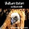 The Vulture Safari and Bush Walk