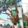 Tangier old Medina walking tour 