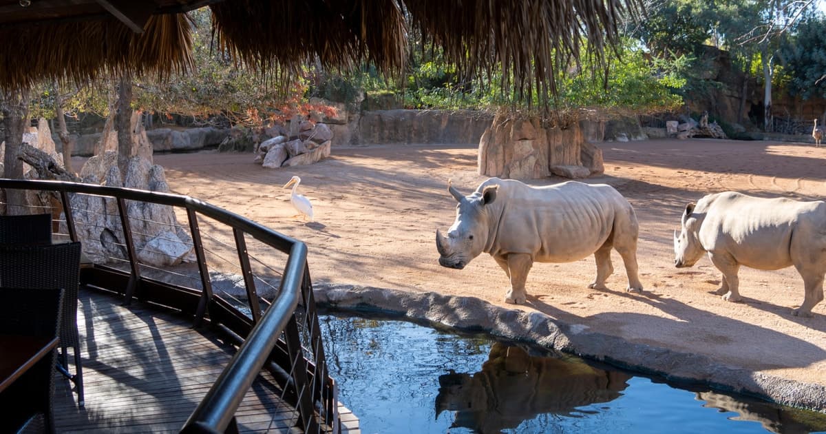 Valencia: entrada al Bioparc Valencia