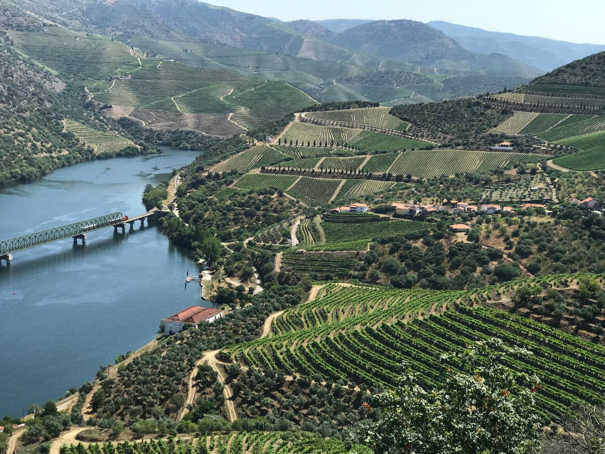 Porto: Douro Valley Introduction with Local Guide