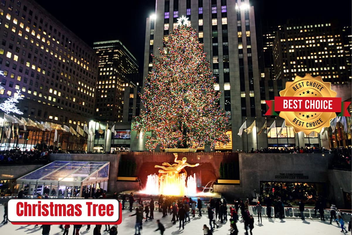 NYC : Private Jingle Bells Guided Holiday Lights Tour by Car