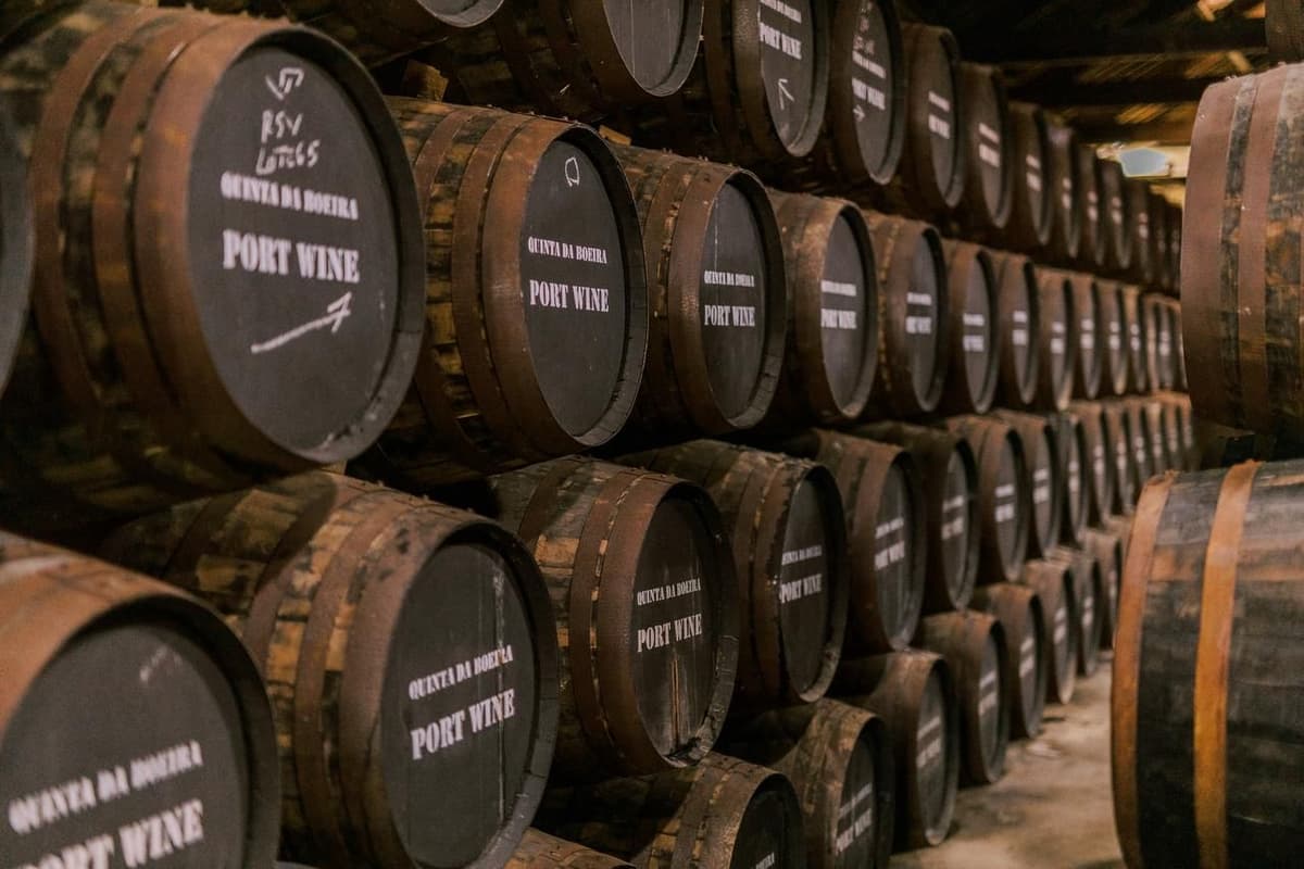 Vila Nova de Gaia: Quinta da Boeira Wine & Cheese Tasting