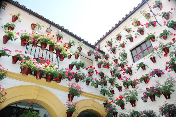 Excursiones desde Madrid