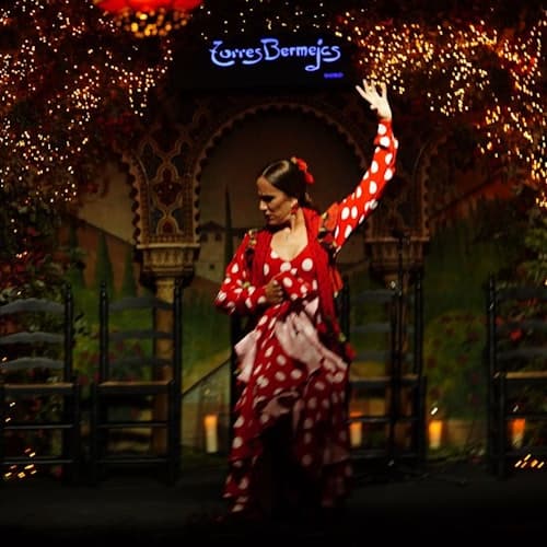 Espectáculos en Madrid