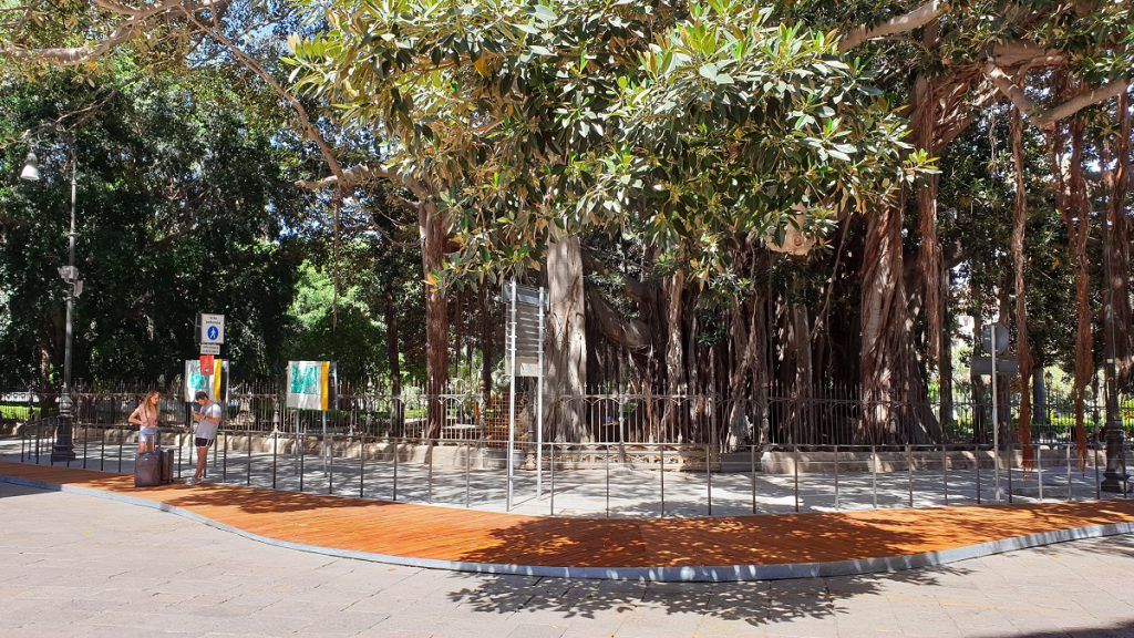 Piazza Marina, Palermo